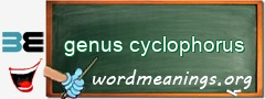WordMeaning blackboard for genus cyclophorus